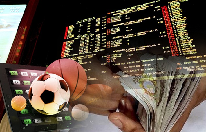 Discovering Betting Opportunities with Betwinner