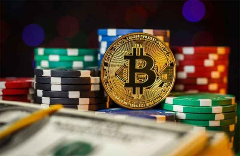 Explore the Best Online Casinos With Mobile Login