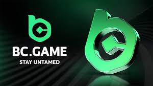 Exploring the Features of the Website BC.Game A Dive into Crypto Betting
