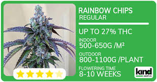 The Ultimate Guide to Cultivating Quality Weed Seeds in Ohio