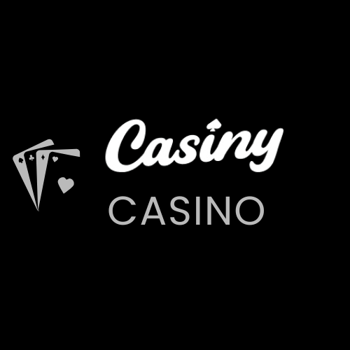 Explore the Casiny Casino Payment Methods