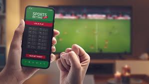 The Ultimate Guide to Understanding spurbets