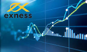 Local IB Exness Your Gateway to Successful Trading