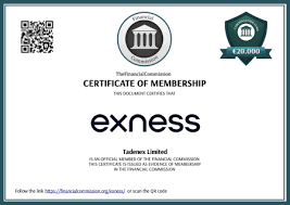 The Ultimate Guide to Trading with www exness com demo account