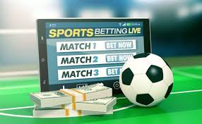 Explore the World of Betting with 333bet Explore the World of Betting with 333bet